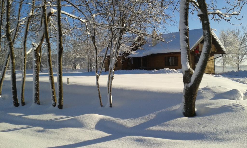 House Marijana Villa Rakovica Bagian luar foto